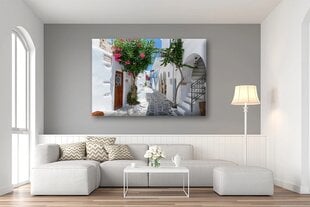 Drobė tapyba Peizažas gyvenamojo kambario sienai Žavinga gatvė 80x120cm цена и информация | Репродукции, картины | pigu.lt