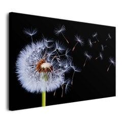 Subtilus paveikslas miegamajame gyvenamajame kambaryje Pūstuvas ant drobės Juodai balta 80x120 цена и информация | Репродукции, картины | pigu.lt