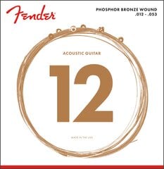 Stygos ak. gitarai Fender Phosphor Bronze 60L .012-.053 kaina ir informacija | Priedai muzikos instrumentams | pigu.lt