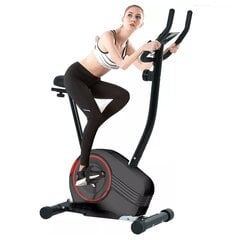 Dviratis Treniruoklis THOMS Power Bike FW-850, Smagratis 4kg, Max 130 kg. цена и информация | Велотренажеры | pigu.lt