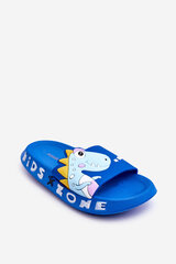 Children's Foam Slippers Dinosaur Blue Dario 26172-18 цена и информация | Спортивная обувь, кроссовки для женщин | pigu.lt