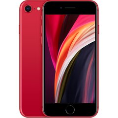 Apple iPhone SE (2020) 128GB (Класс A (Очень хорошее состояние, использованный)) цена и информация | Мобильные телефоны | pigu.lt