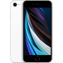 Apple iPhone SE (2020) 128GB (Класс A (Очень хорошее состояние, использованный)) цена и информация | Мобильные телефоны | pigu.lt