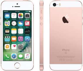 Apple iPhone SE 64GB (Класс A (Очень хорошее состояние, использованный)) цена и информация | Мобильные телефоны | pigu.lt