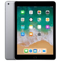 Apple iPad 9.7" (2017) 128GB WiFi (Klase A (Ļoti labs stāvoklis, lietots)) kaina ir informacija | Planšetiniai kompiuteriai | pigu.lt