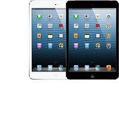 Apple iPad Mini 16GB Wifi (Класс A (Очень хорошее состояние, использованный)) цена и информация | Планшеты | pigu.lt