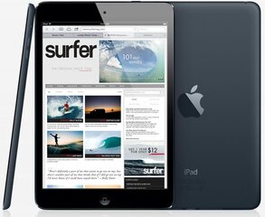 Apple iPad Mini 32GB Wifi (Класс A (Очень хорошее состояние, использованный)) цена и информация | Планшеты | pigu.lt