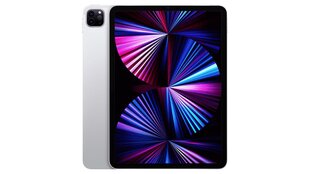 Apple iPad Pro 11" (2021) 128GB WiFi (Класс A (Очень хорошее состояние, использованный)) цена и информация | Планшеты | pigu.lt