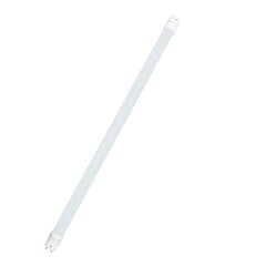 LED lemputė T8, Midex, 150cm, 24W, 6000K, 2 vnt. kaina ir informacija | Elektros lemputės | pigu.lt