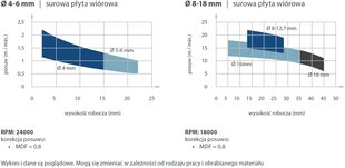 190.100.11 CMT VHM FINISHING MILL Z2+2 D10 I32 S10 POSITIVE + NEGATIVE цена и информация | Фрезы | pigu.lt