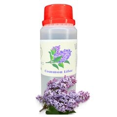 Sojų vaško žvakės kvapas "Elderflower" 100 ml kaina ir informacija | Žvakės, Žvakidės | pigu.lt