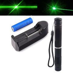 Lazerinis žymeklis Laser, 16 cm, žalias kaina ir informacija | Žaislai katėms | pigu.lt