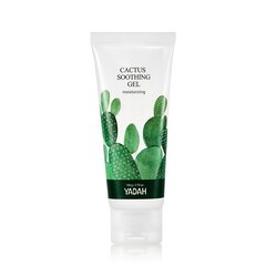 YADAH - Cactus Soothing Gel, 105g - drėkinantis ir raminantis gelis veidui ir kūnui kaina ir informacija | Veido prausikliai, valikliai | pigu.lt