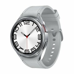 Galaxy Watch6 Classic Silver kaina ir informacija | Išmanieji laikrodžiai (smartwatch) | pigu.lt