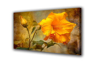 Paveikslas Ant Drobės senovinės geltonos gėlės 30x20 cm kaina ir informacija | Reprodukcijos, paveikslai | pigu.lt