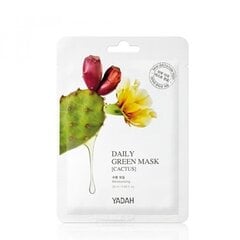 YADAH Daily Green Mask Cactus 25ml kaina ir informacija | Veido kaukės, paakių kaukės | pigu.lt