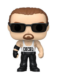 Funko POP! WWE Diesel 74 figūrėlė kaina ir informacija | Žaidėjų atributika | pigu.lt