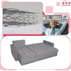 Varius sofa-lova su miegamąja funkcija Šeimos baldai kampinė sofa pilka mon цена и информация | Кровати | pigu.lt