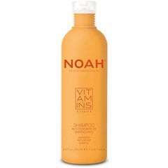 Noah Vitamins Antioxidant Shampoo Stiprinamasis šampūnas su vitaminu E, 250 ml kaina ir informacija | Šampūnai | pigu.lt