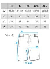 спортивные штаны w519 - светло-серый меланж цена и информация | Мужские шорты | pigu.lt