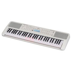 Sintezatorius Yamaha EZ-310 kaina ir informacija | Klavišiniai muzikos instrumentai | pigu.lt