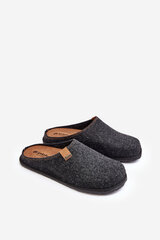 Vyriškos šlepetės Inblu SI000001 Dark Gray Prophylactic Slippers 17214-R kaina ir informacija | Vyriškos šlepetės, basutės | pigu.lt