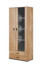 Vitrina Cama Meble Soho S6 2D2S, ruda/juoda kaina ir informacija | Vitrinos, indaujos | pigu.lt