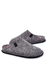 Classic Men's Slippers Big Star KK176001 Grey 22446-R цена и информация | Мужские шлепанцы, босоножки | pigu.lt