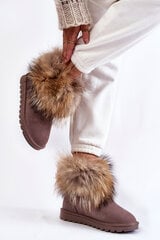 Women's Suede Snow Boots With Fur Grey Alexa 22582-21 цена и информация | Женские сапоги | pigu.lt