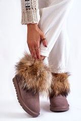 Women's Suede Snow Boots With Fur Grey Alexa 22582-21 цена и информация | Женские сапоги | pigu.lt