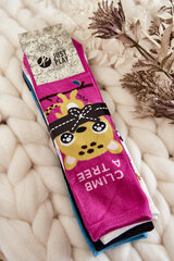 Women's Funny 5-Pack Animal Socks Multicolor 23094-245 цена и информация | Женские носки | pigu.lt