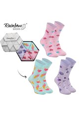 Rainbow Socks Sweets In A Box Of 3 Pairs 23608-250 цена и информация | Женские носки | pigu.lt