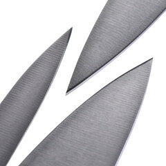 ZWILLING 36130-005-0 Набор кухонных столовых приборов/ножей 2 шт. цена и информация | Ножи и аксессуары для них | pigu.lt