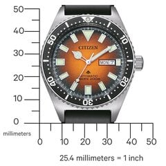 Мужские часы Citizen Promaster Marine Automatic Diver Challenge NY0120-01ZE цена и информация | Мужские часы | pigu.lt