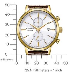 Laikrodis vyrams Citizen Eco-Drive CA7062-15A kaina ir informacija | Vyriški laikrodžiai | pigu.lt