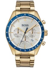 мужские часы hugo boss 1513631 - trophy (zh009a) цена и информация | Мужские часы | pigu.lt