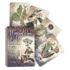 Magickal Herb Oracle kortos kaina ir informacija | Ezoterika | pigu.lt