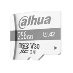 Жесткий диск DAHUA TECHNOLOGY P100 256 Гб SSD цена и информация | Карты памяти для телефонов | pigu.lt