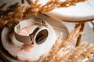 OROMED ORO-SMART CRYSTAL SILVER умные часы цена и информация | Смарт-часы (smartwatch) | pigu.lt