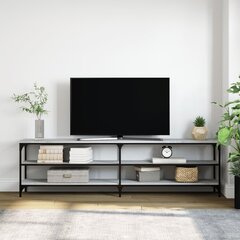 Televizoriaus spintelė, pilka, 180x30x50cm, mediena ir metalas цена и информация | Тумбы под телевизор | pigu.lt
