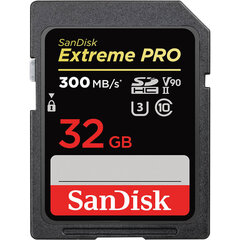 SanDisk SDSDXDK-032G-GN4IN kaina ir informacija | Atminties kortelės fotoaparatams, kameroms | pigu.lt