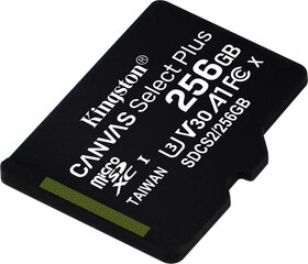 Kingston SDCS2/256GBSP цена и информация | Карты памяти для фотоаппаратов, камер | pigu.lt