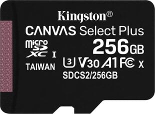 Kingston SDCS2/256GBSP kaina ir informacija | Atminties kortelės fotoaparatams, kameroms | pigu.lt
