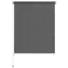 Lauko roletas 220x140cm, pilka цена и информация | Рулонные шторы | pigu.lt