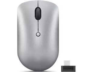 Lenovo Wireless Compact Mouse 540 Cloud Grey, 2.4G Wireless via USB-C receiver kaina ir informacija | Pelės | pigu.lt