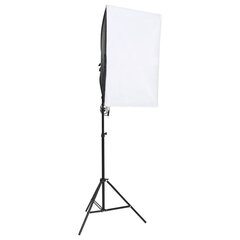 Profesionalūs fotostudijos šviestuvai, 2vnt., 40x60cm kaina ir informacija | Fotografijos apšvietimo įranga | pigu.lt