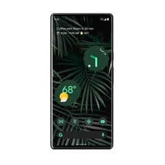 Google Pixel 6 Pro 5G Dual SIM 12/128ГБ, Stormy Black цена и информация | Мобильные телефоны | pigu.lt