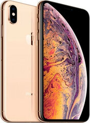 Išmaniejie telefonai Apple iPhone XS 5,8" 4 GB RAM 64 GB (Naudoti A) цена и информация | Мобильные телефоны | pigu.lt