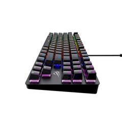 Havit KB869L Mechanical Gaming Keyboard RGB цена и информация | Клавиатуры | pigu.lt