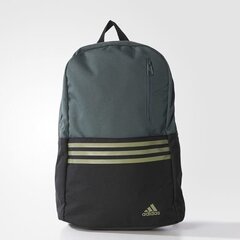 Sportinė kuprinė Adidas Versatile 3 Stripes AY5122, 43333 kaina ir informacija | Kuprinės ir krepšiai | pigu.lt